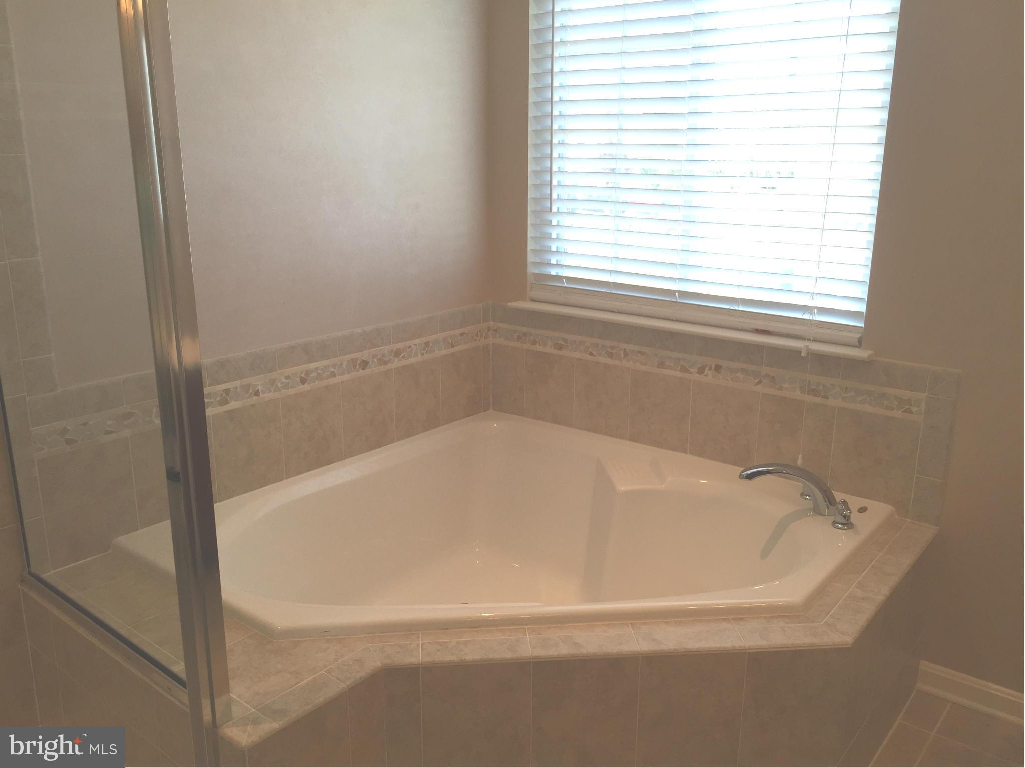 SHENANDOAH SPRINGS - Residential