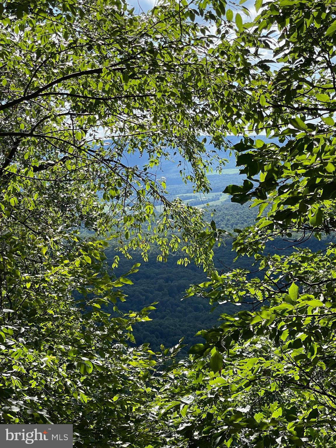 NONE AVAILABLE - Land