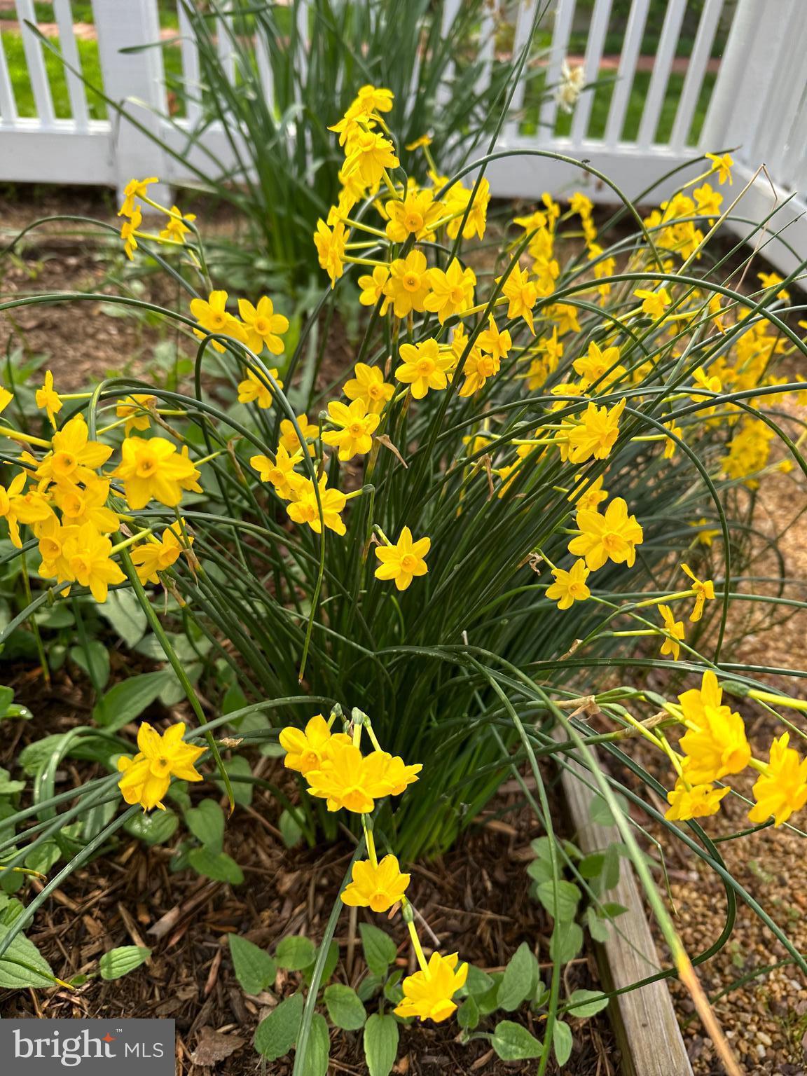 ST GEORGE ISLAND - Residential
