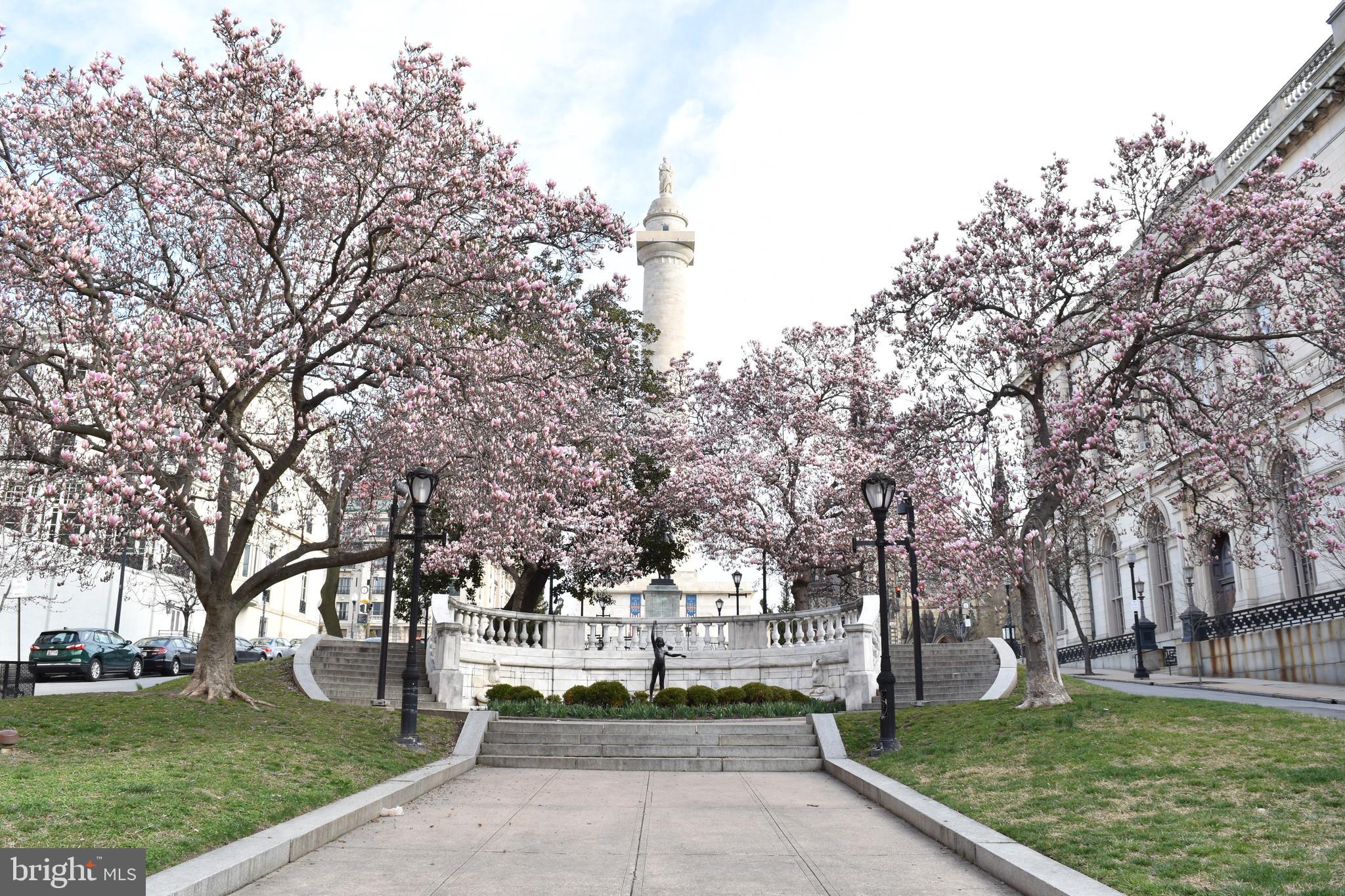 MOUNT VERNON PLACE HISTORIC DISTRICT - Residential