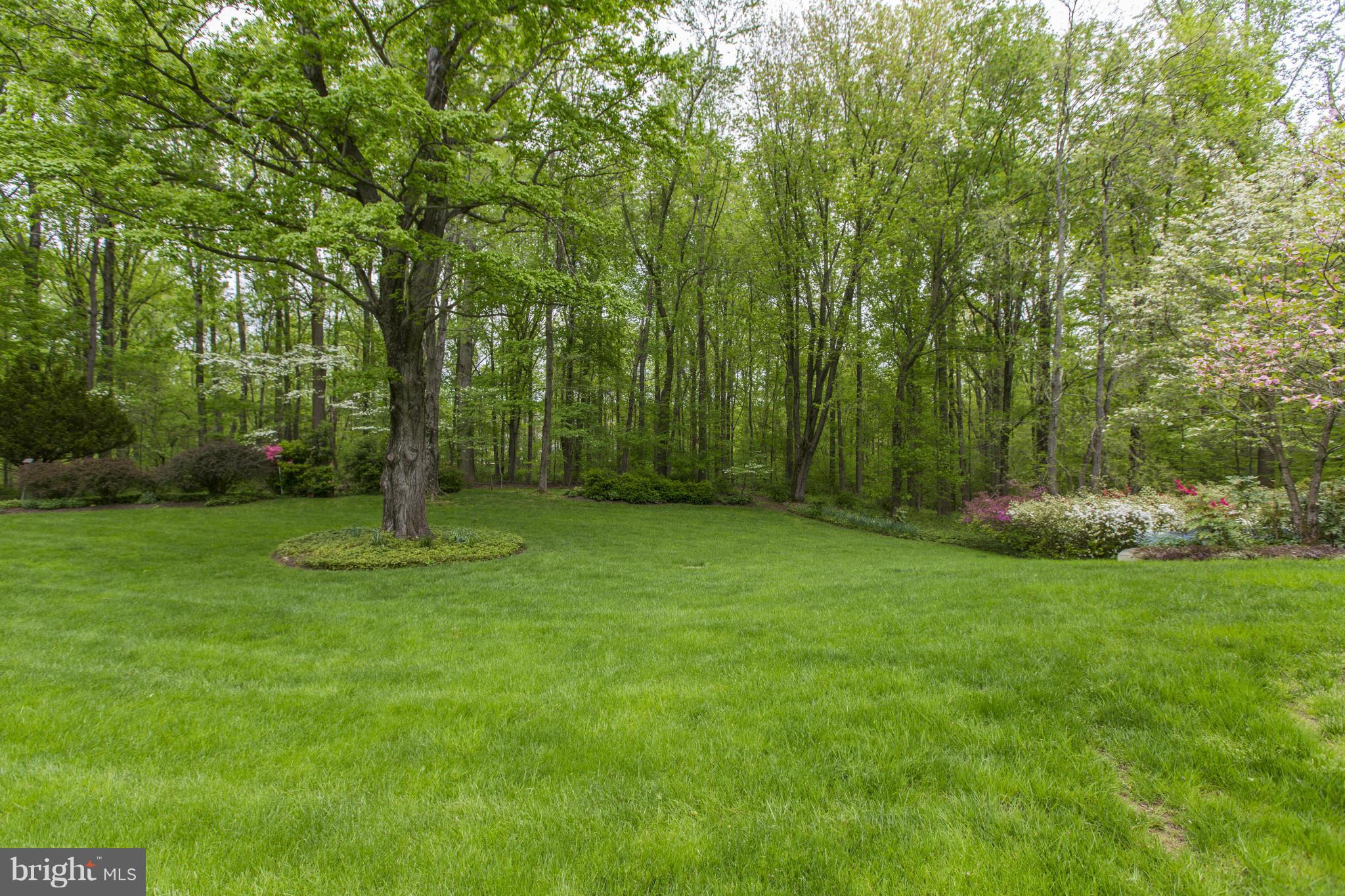 POTOMAC OUTSIDE - Residential