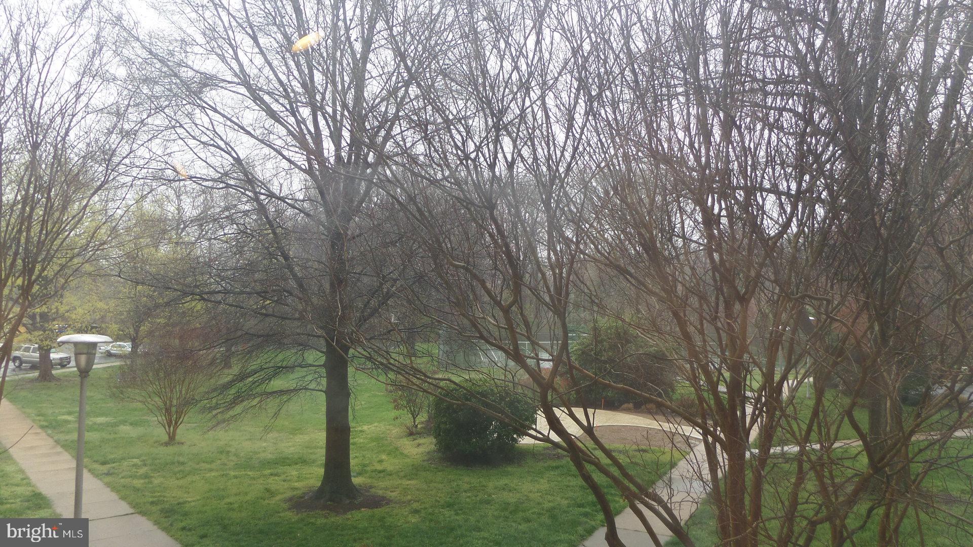 RIVER TOWERS - Residential Lease