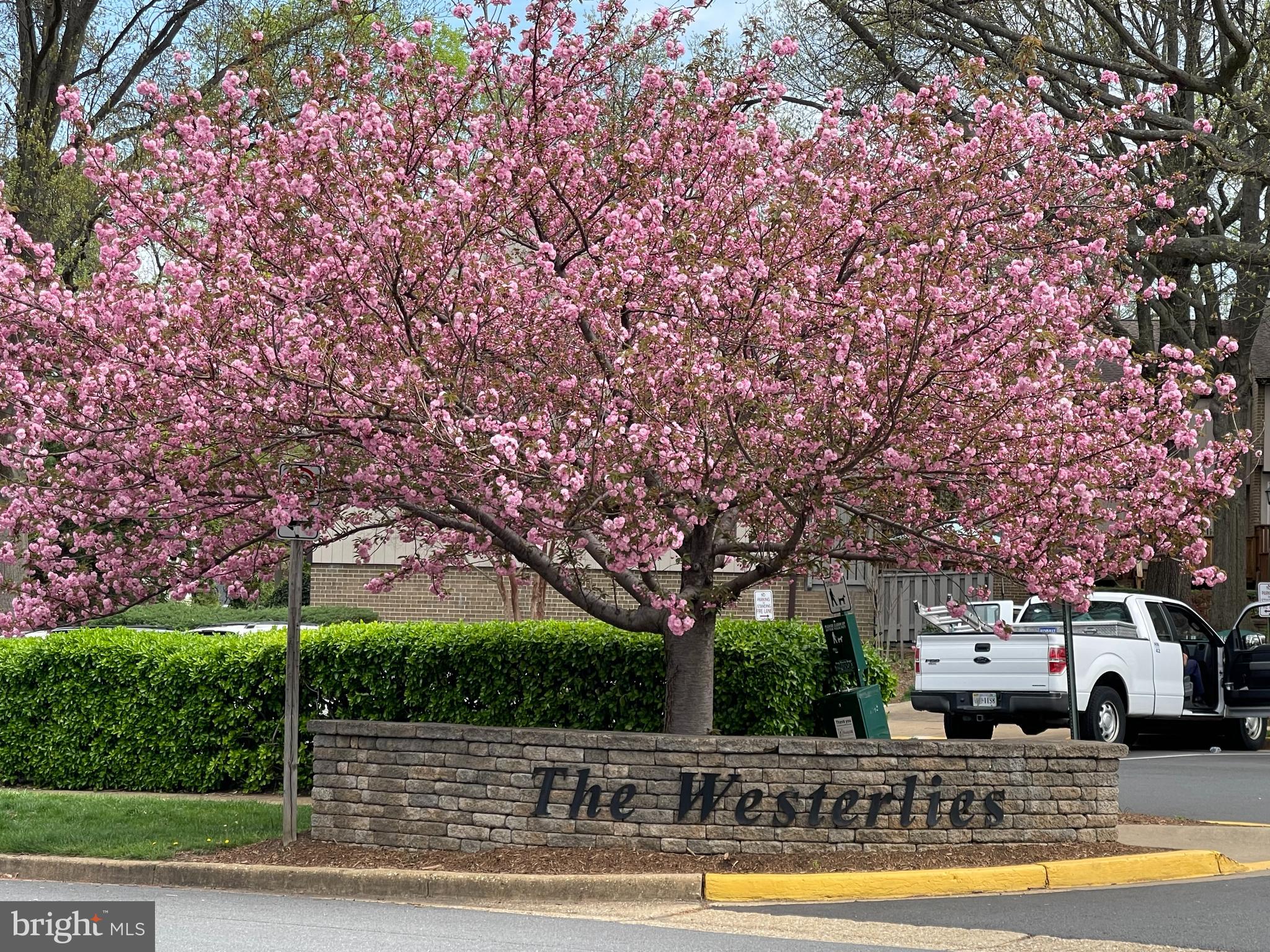 THE WESTERLIES - Residential Lease