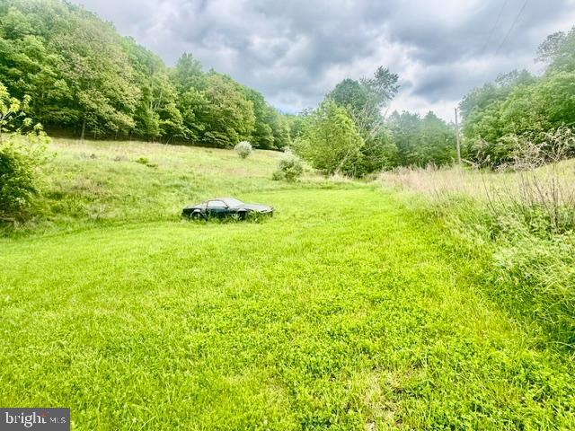 896 CATAWISSA CREEK ROAD