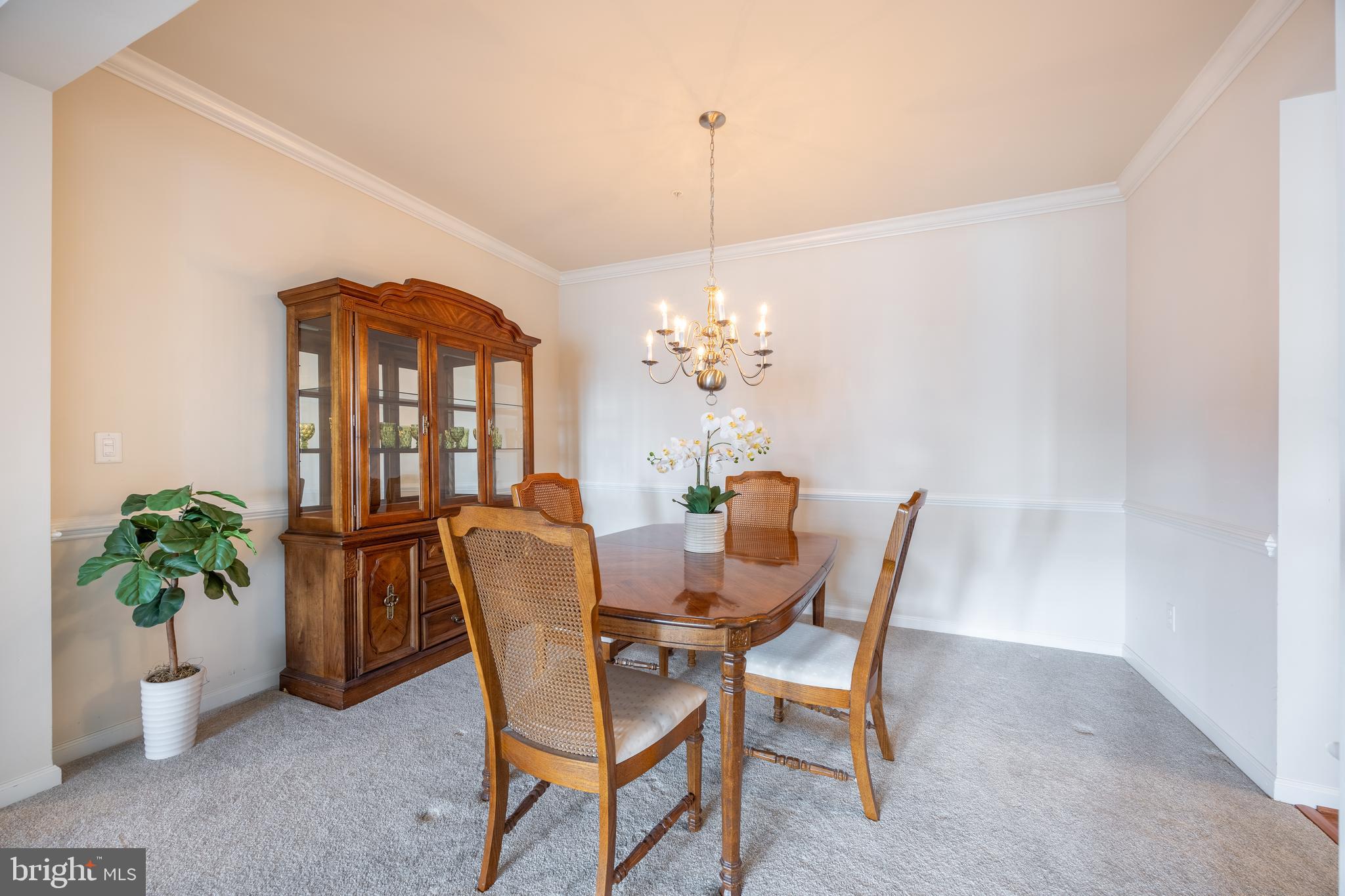 COURTYARDS AT WAVERLY WOODS EAST - Residential