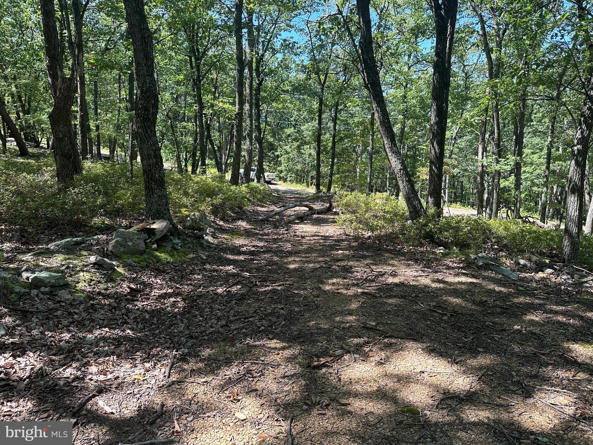 CABIN AT CAPON BRIDGE - Land