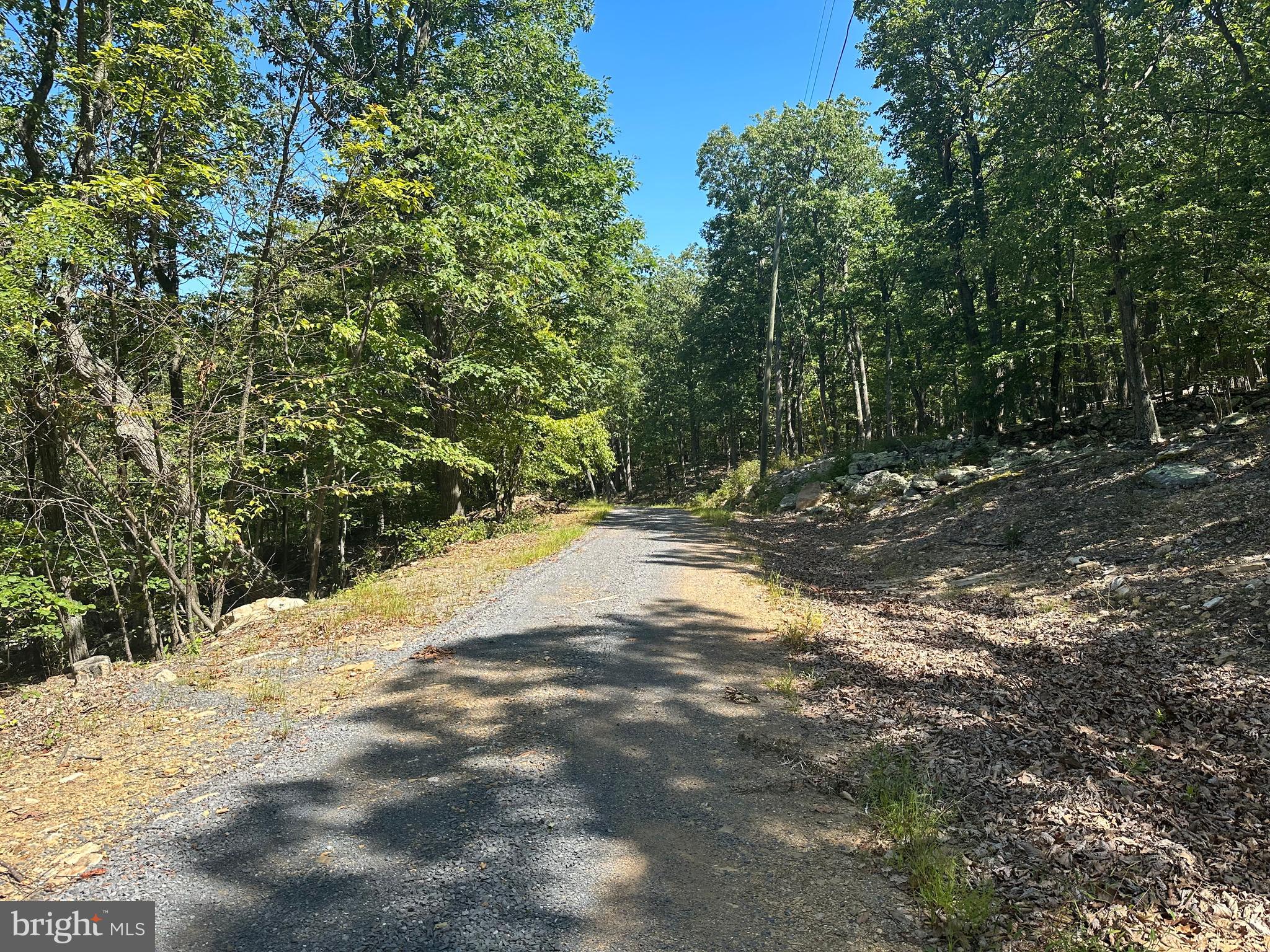 CABIN AT CAPON BRIDGE - Land