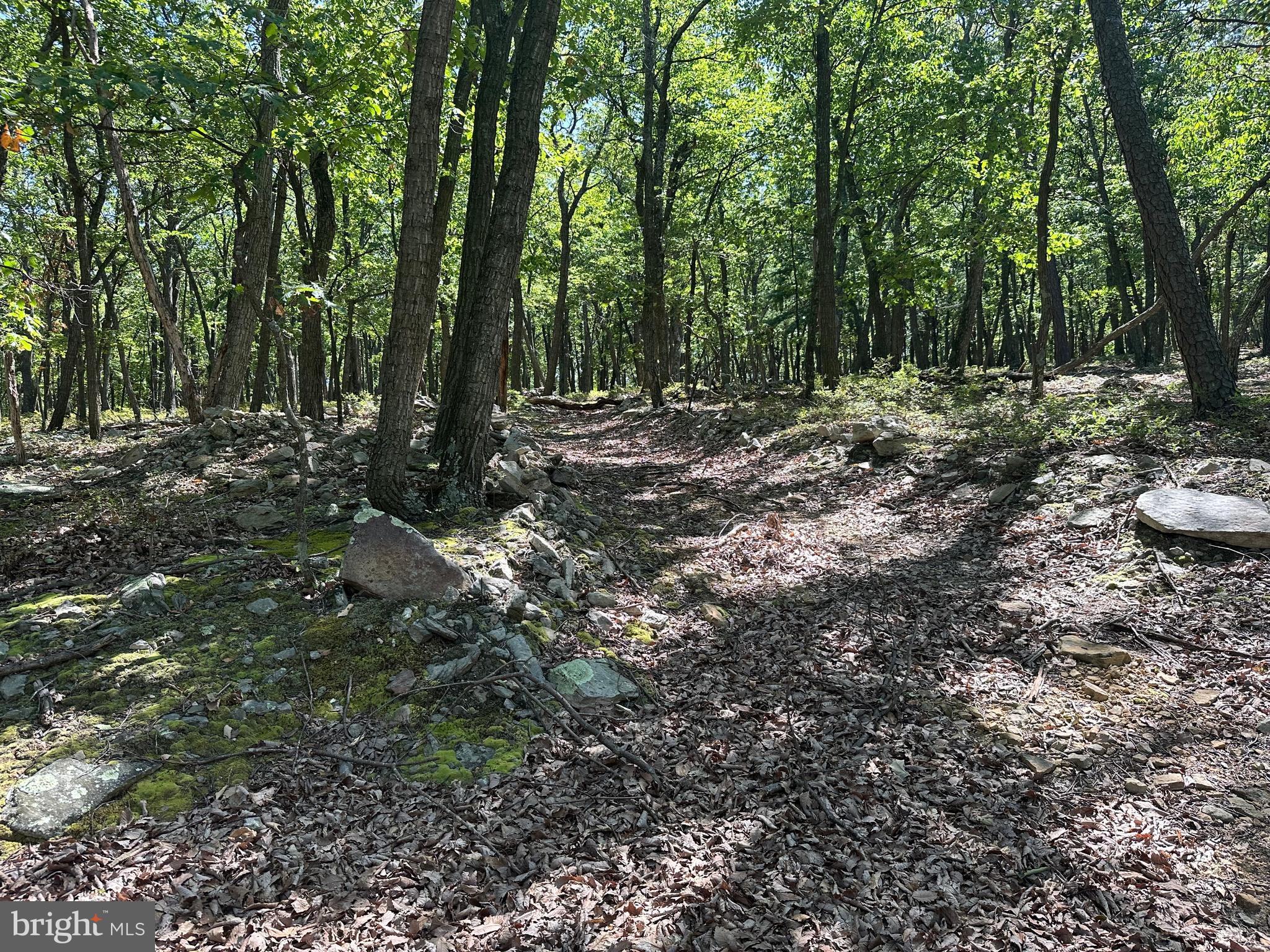CABIN AT CAPON BRIDGE - Land