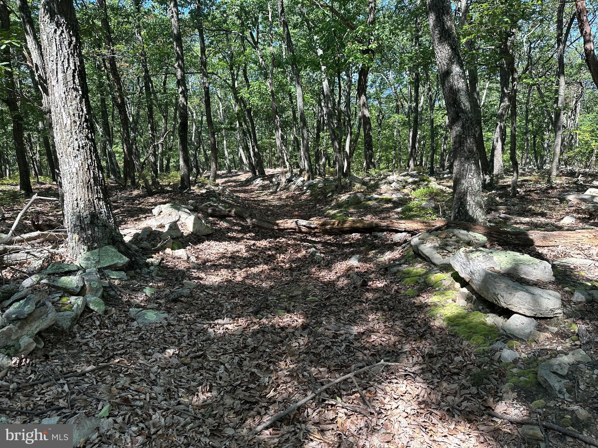 CABIN AT CAPON BRIDGE - Land