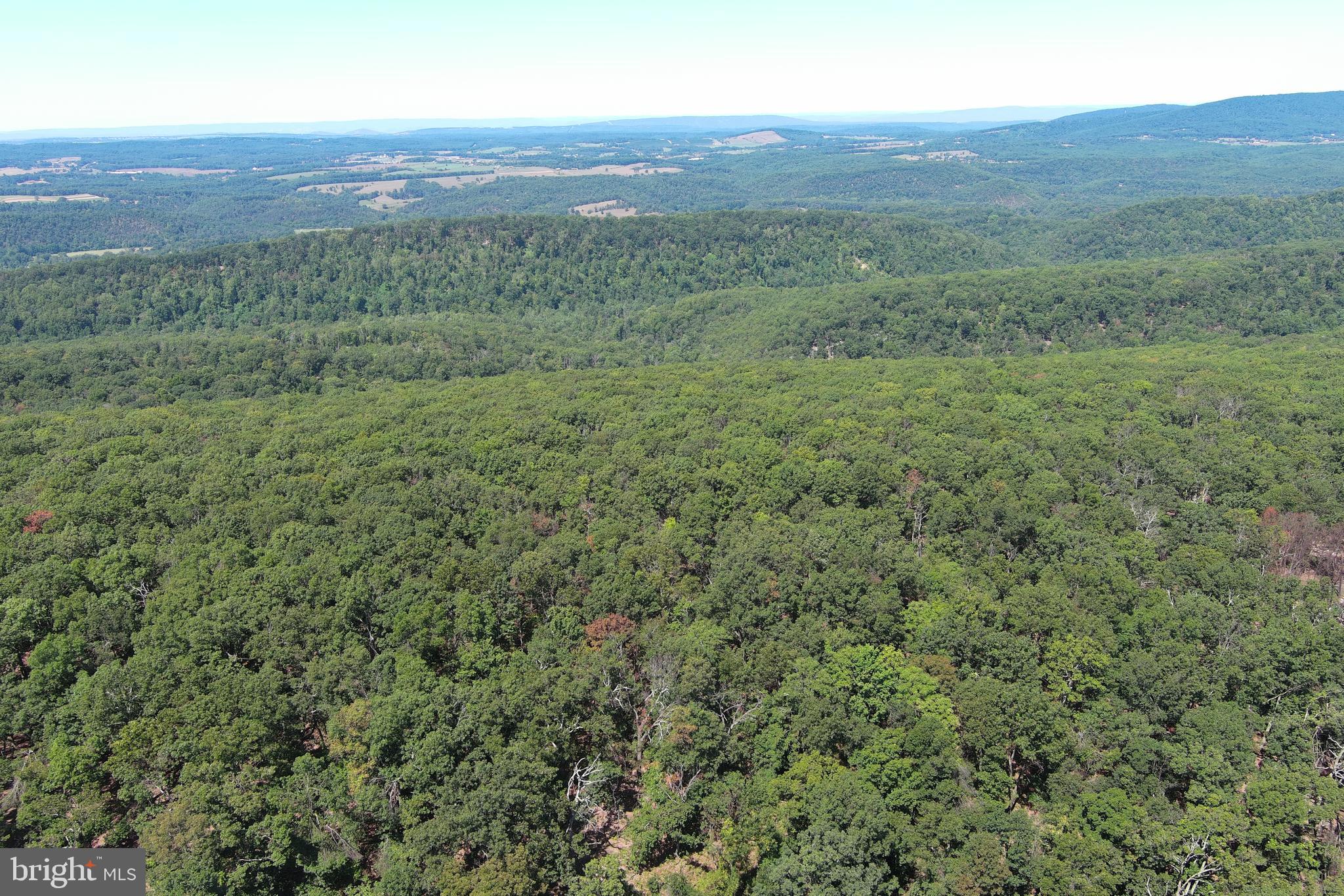 CABIN AT CAPON BRIDGE - Land