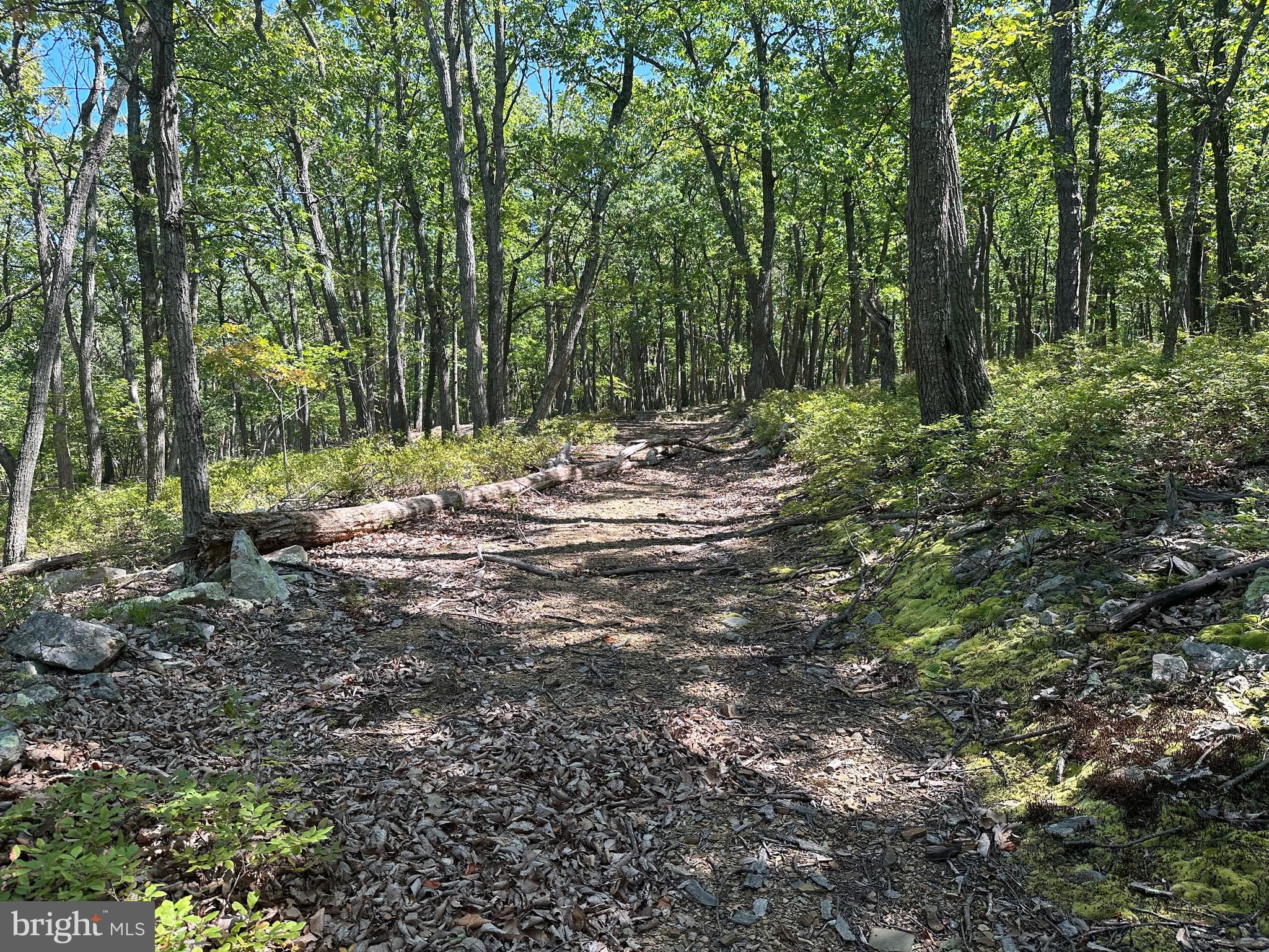 CABIN AT CAPON BRIDGE - Land