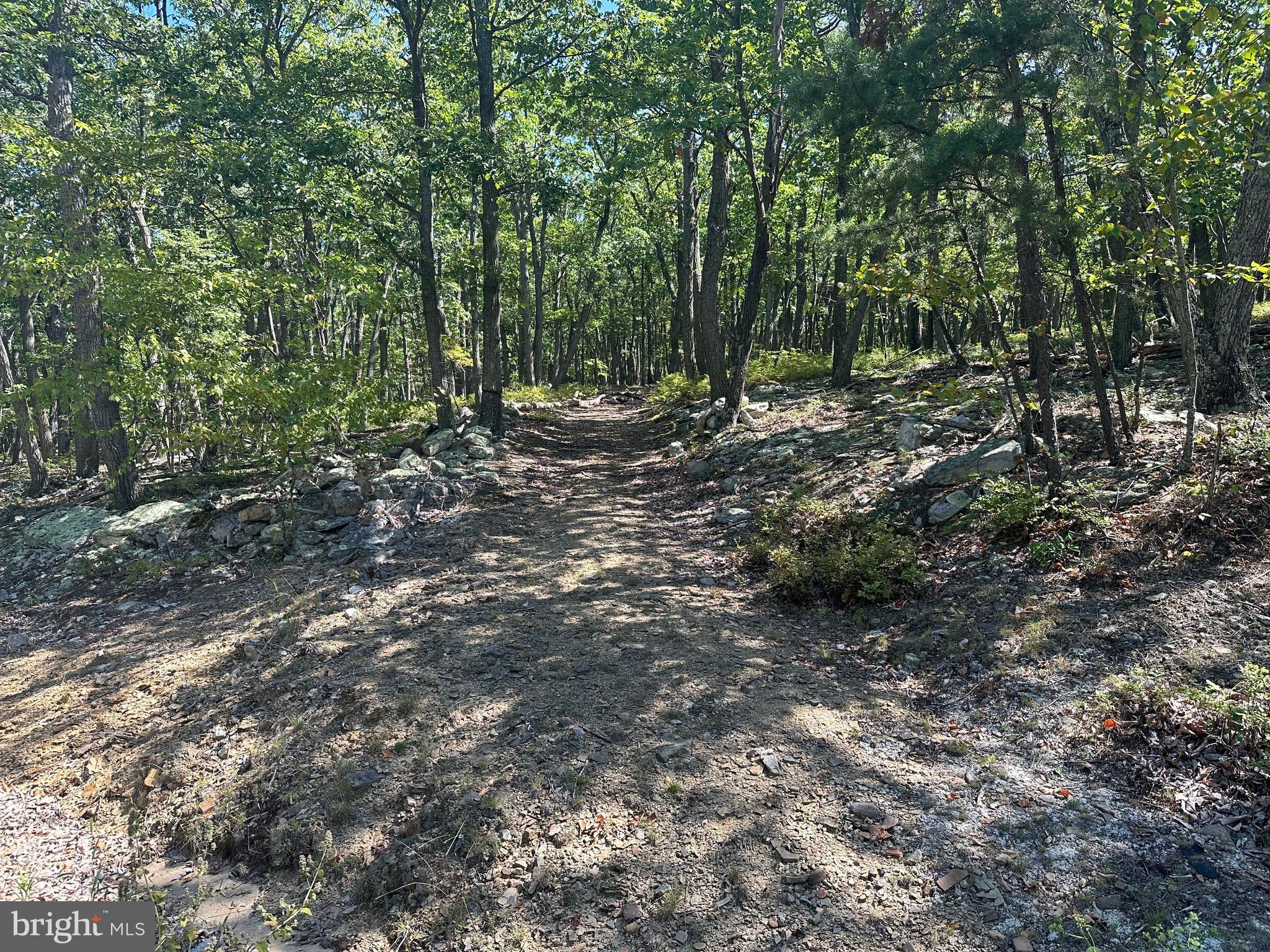 CABIN AT CAPON BRIDGE - Land