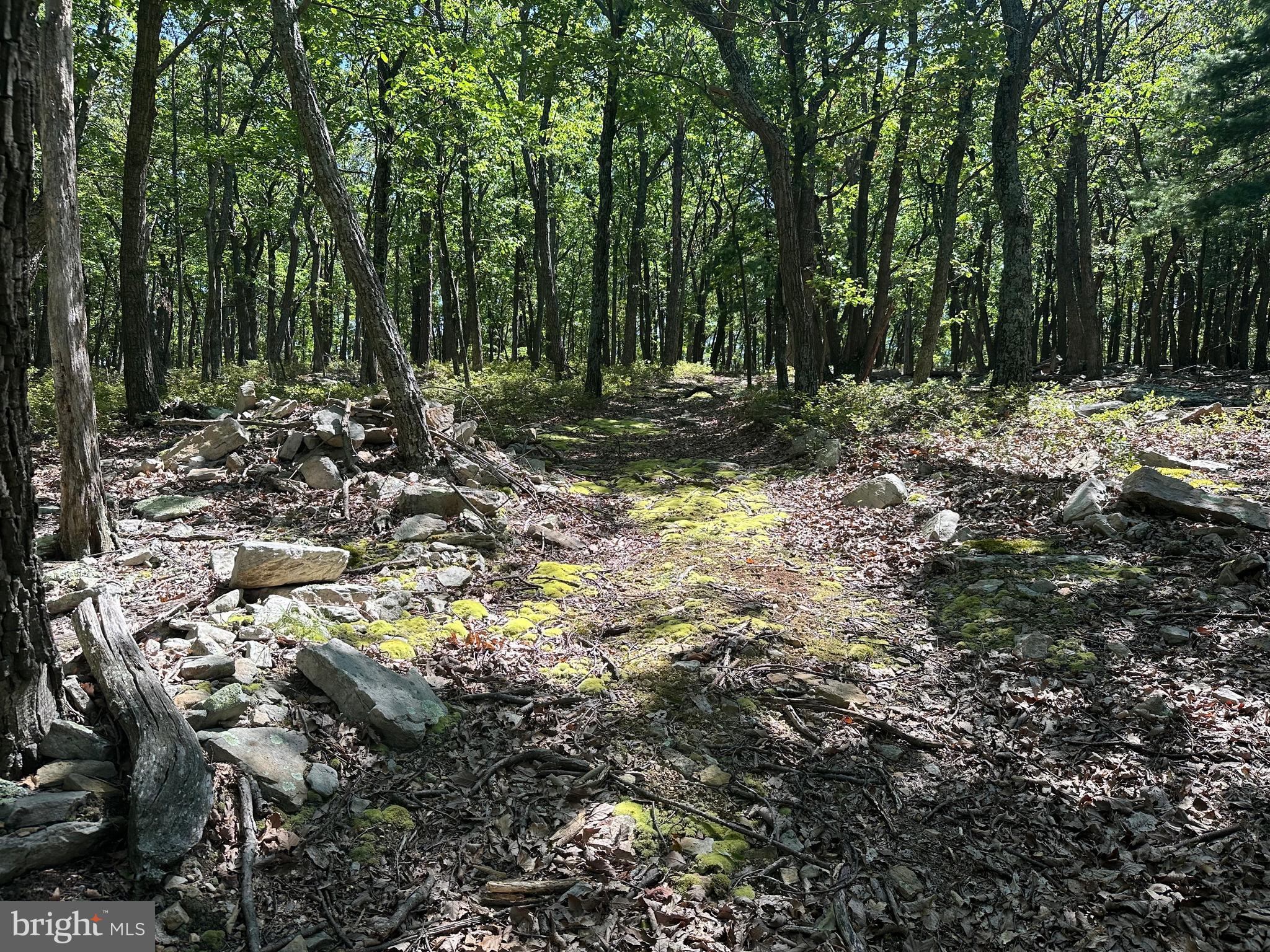 CABIN AT CAPON BRIDGE - Land