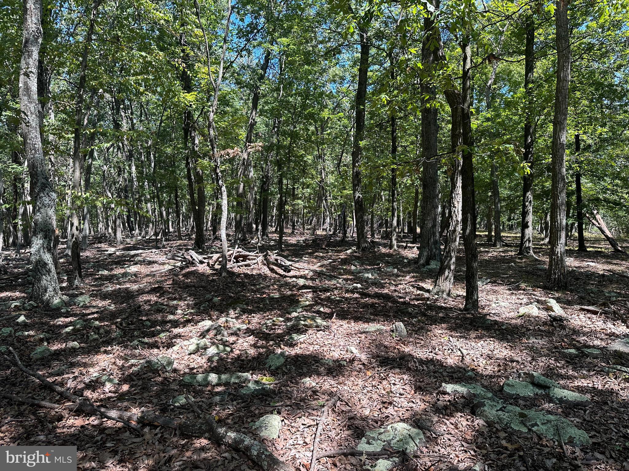 CABIN AT CAPON BRIDGE - Land
