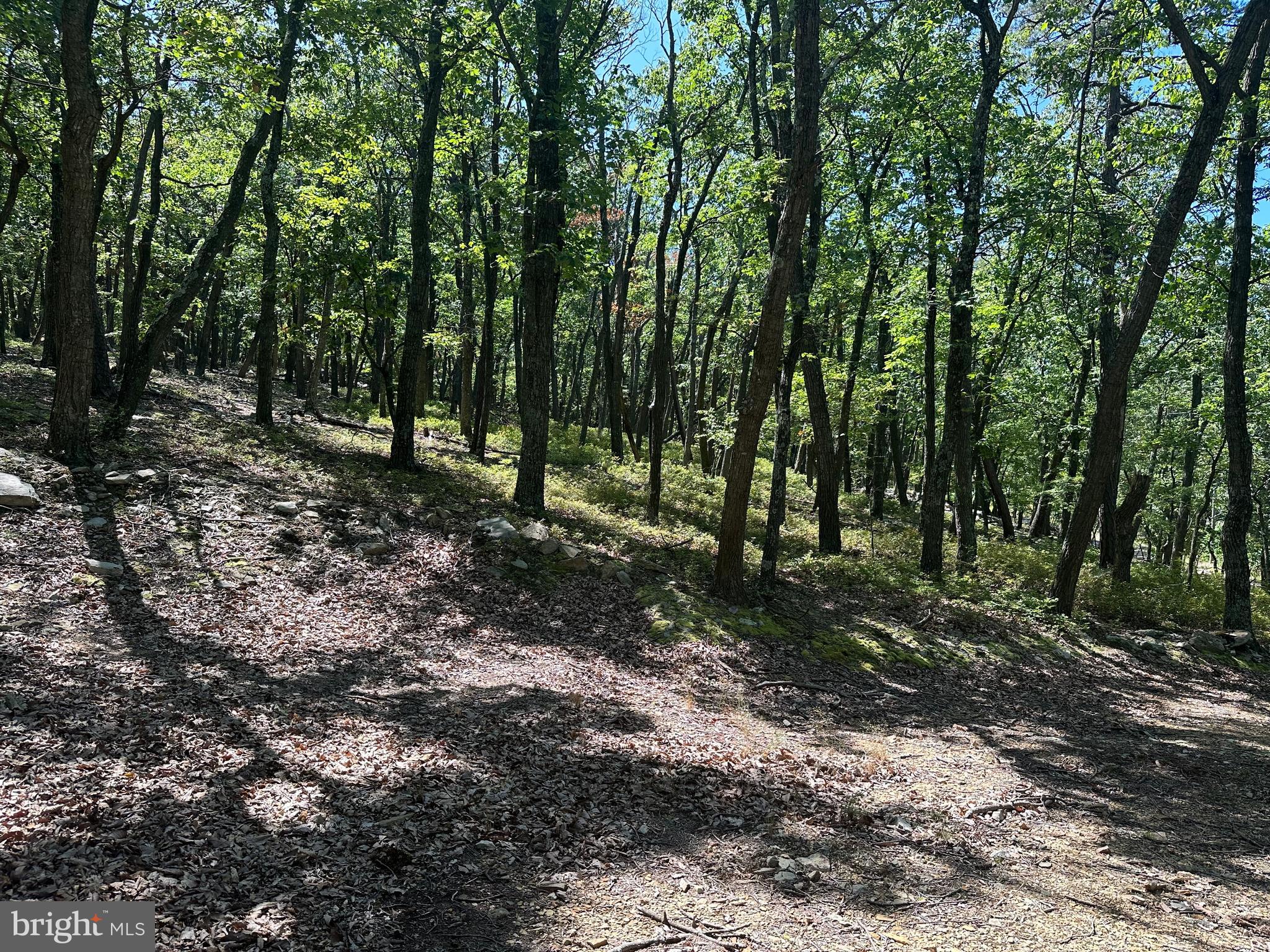 CABIN AT CAPON BRIDGE - Land
