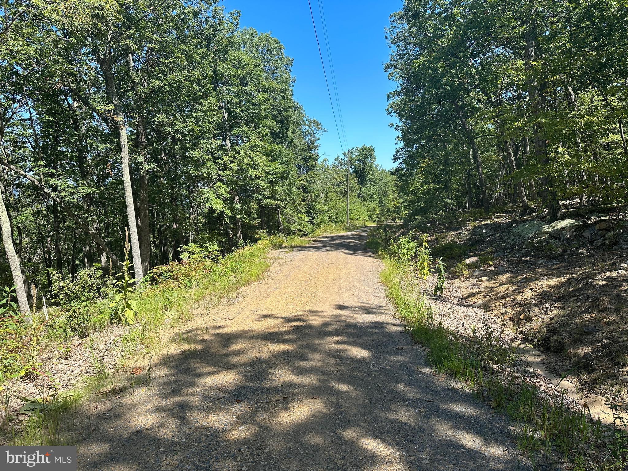 CABIN AT CAPON BRIDGE - Land