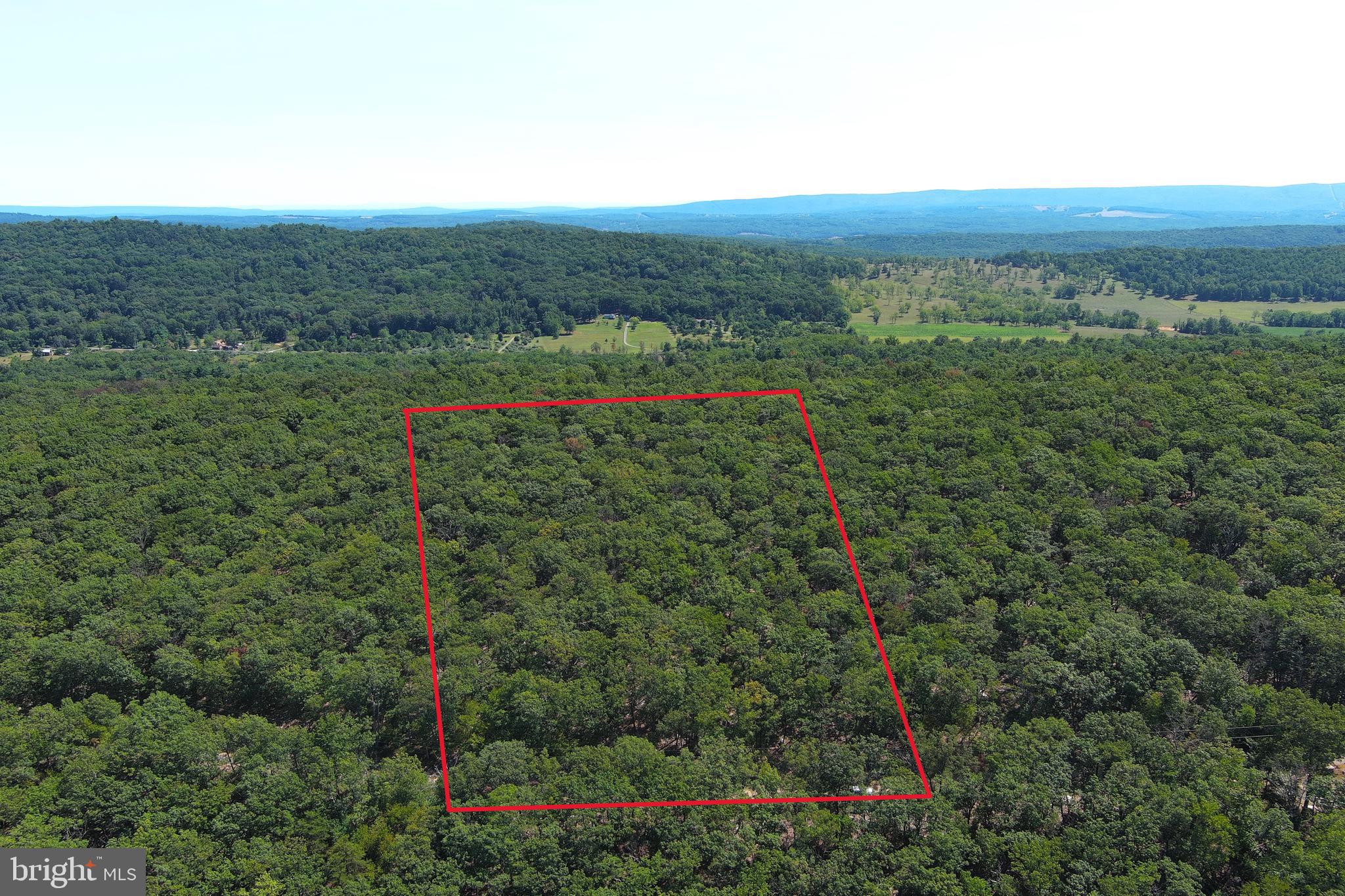 CABIN AT CAPON BRIDGE - Land