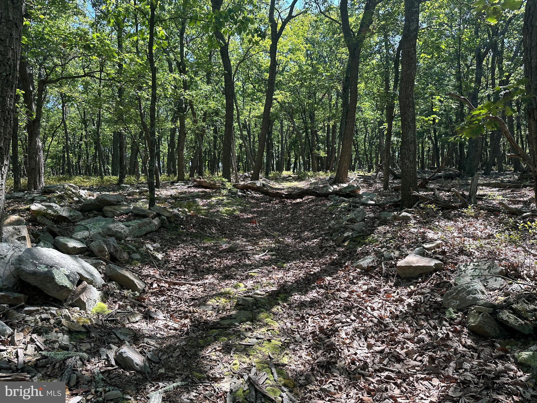 CABIN AT CAPON BRIDGE - Land