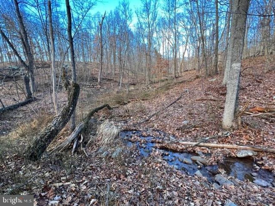 Electricity ran to property.  Backing to the Sleepy Creek Wildlife Management Area so no development above you, this 33.19 acre lot is your opportunity has arrived to own a piece of heaven in the gorgeous mountains of West Virginia.  Quiet, serene, beautiful and amazing are just a few of the descriptive words that come to mind when standing on this property.  Springs provide the running water on the property that you will see and enjoy.  Ideal for a mountain get away or your own private hunting grounds.  Additional adjoining 25.29 acres available on MLS ID WVMO2002648.  Trailers on lots convey.