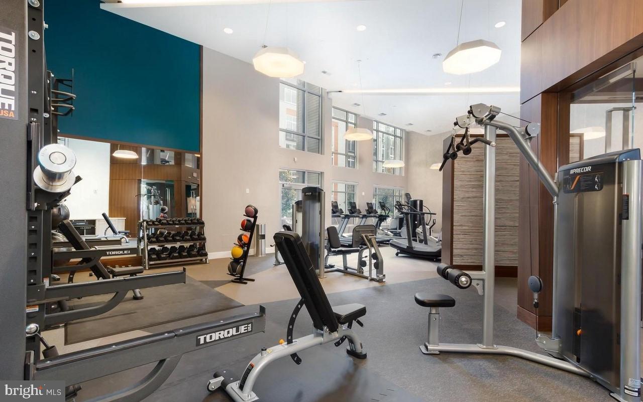 THE HAVEN - Residential Lease