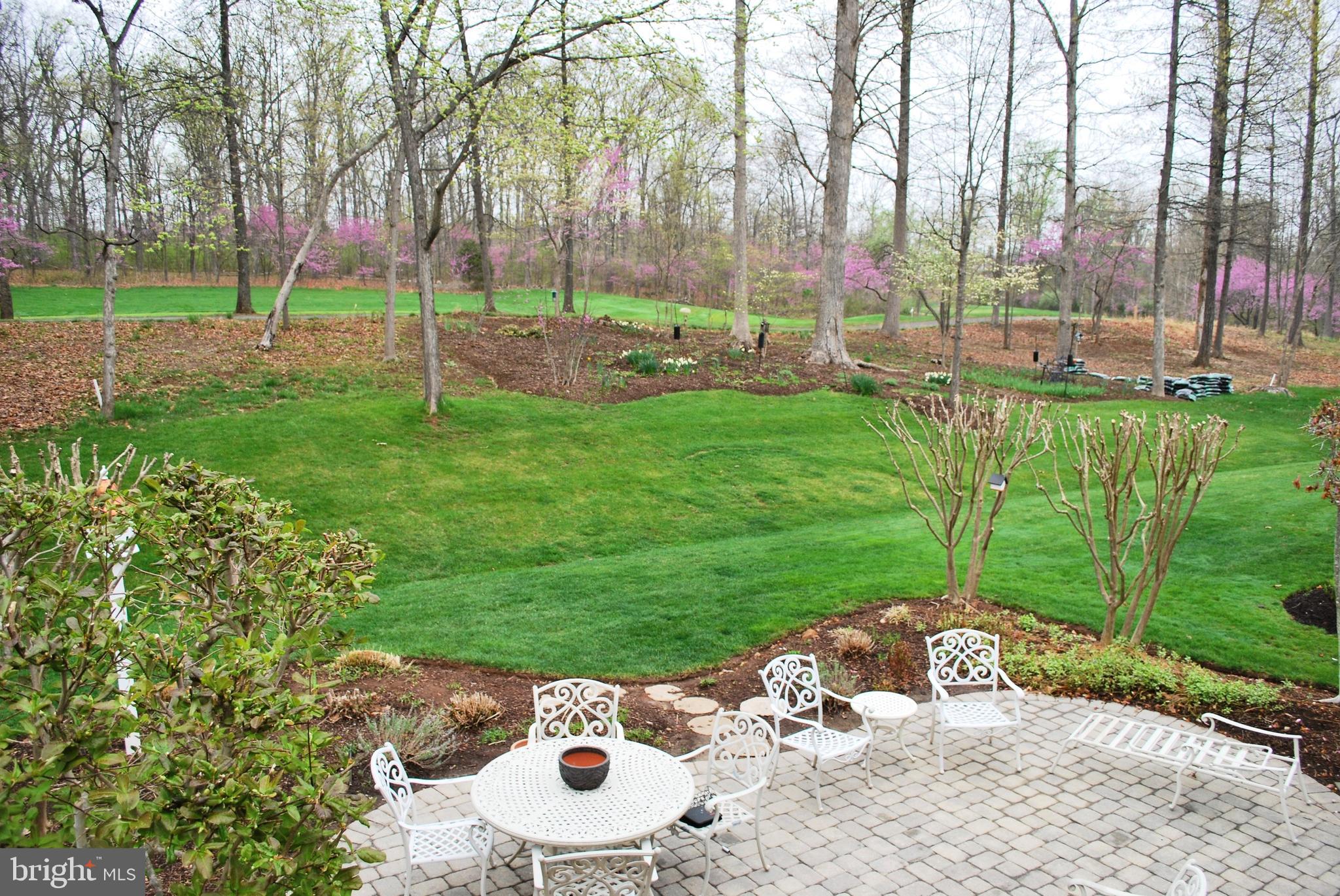 REGENCY AT DOMINION VALLEY - Residential