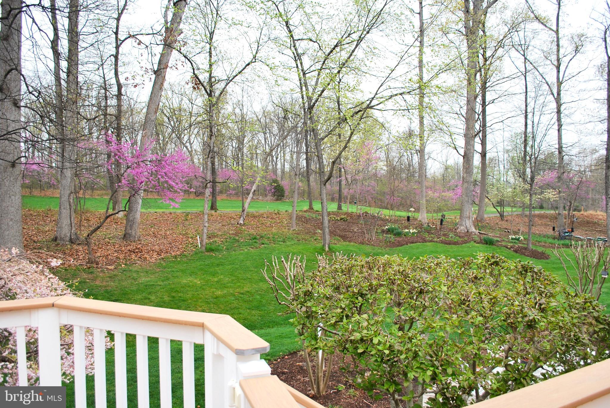5332 ANTIOCH RIDGE DRIVE