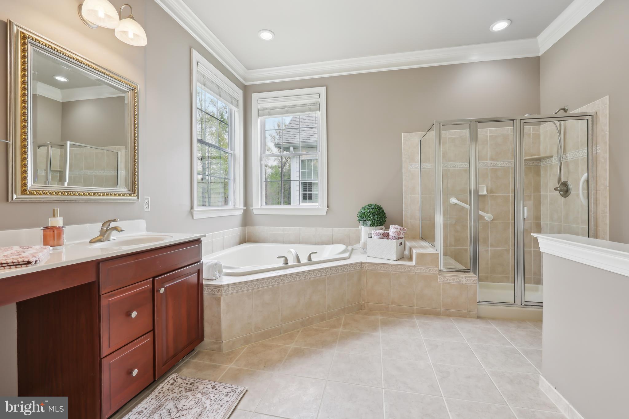 REGENCY AT DOMINION VALLEY - Residential