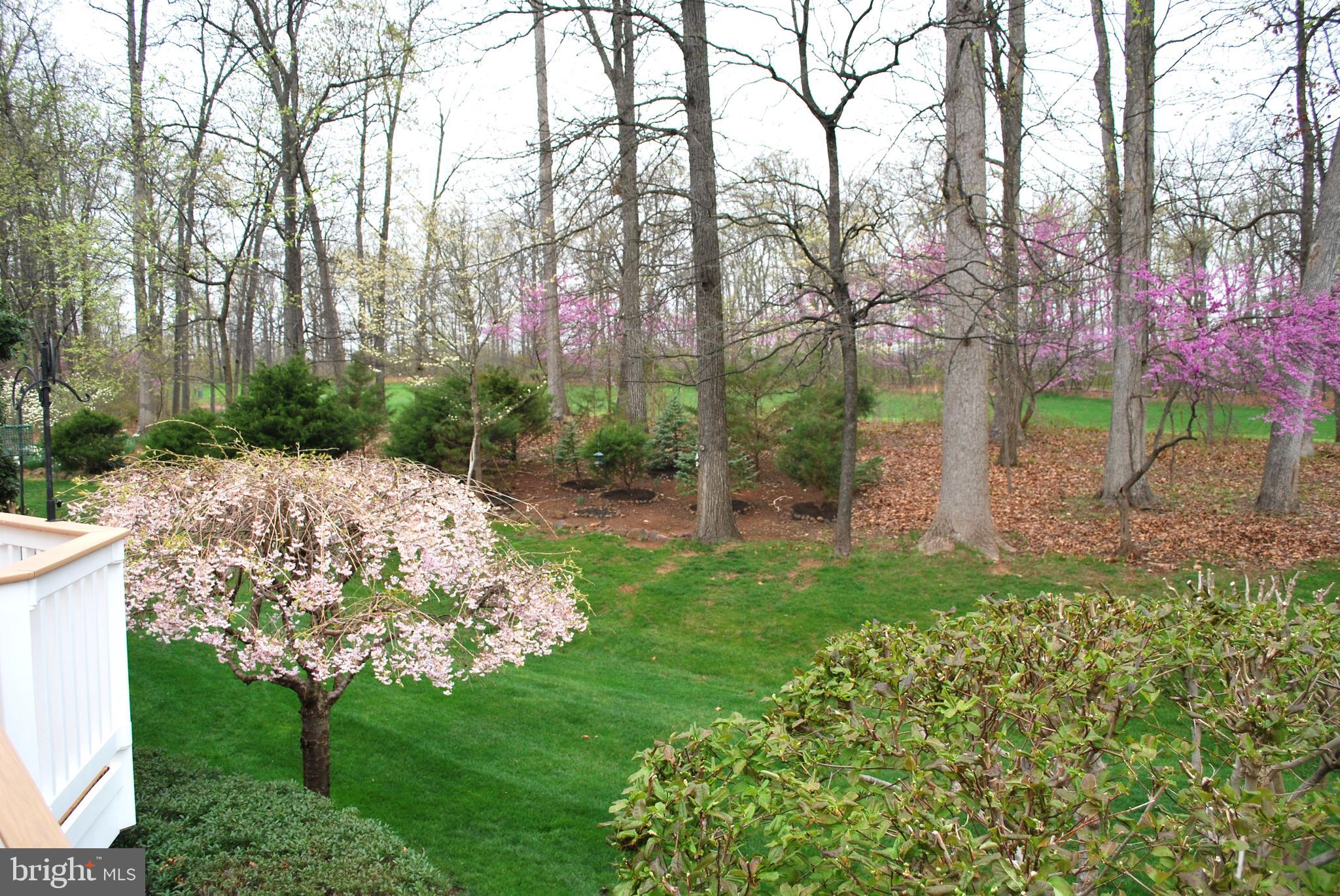 5332 ANTIOCH RIDGE DRIVE