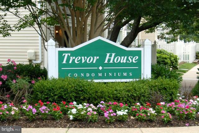 TREVOR HOUSE - Residential