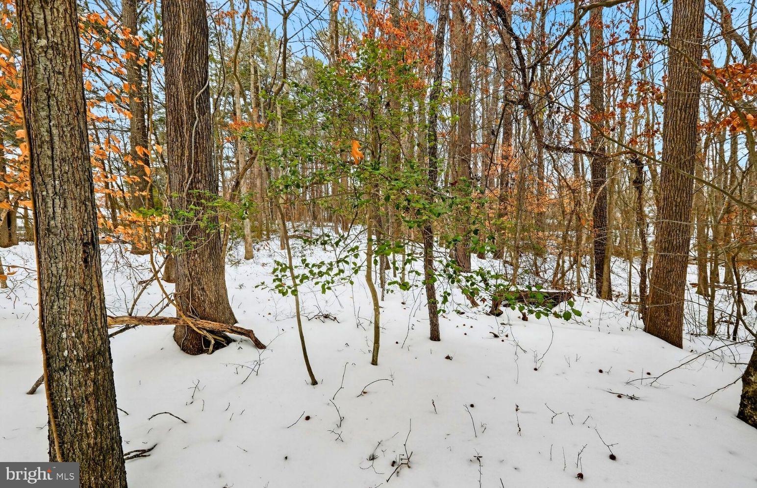 NONE AVAILABLE - Land