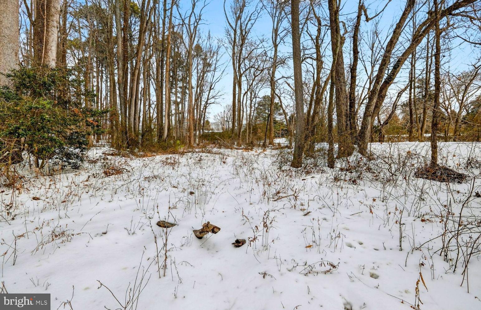 NONE AVAILABLE - Land