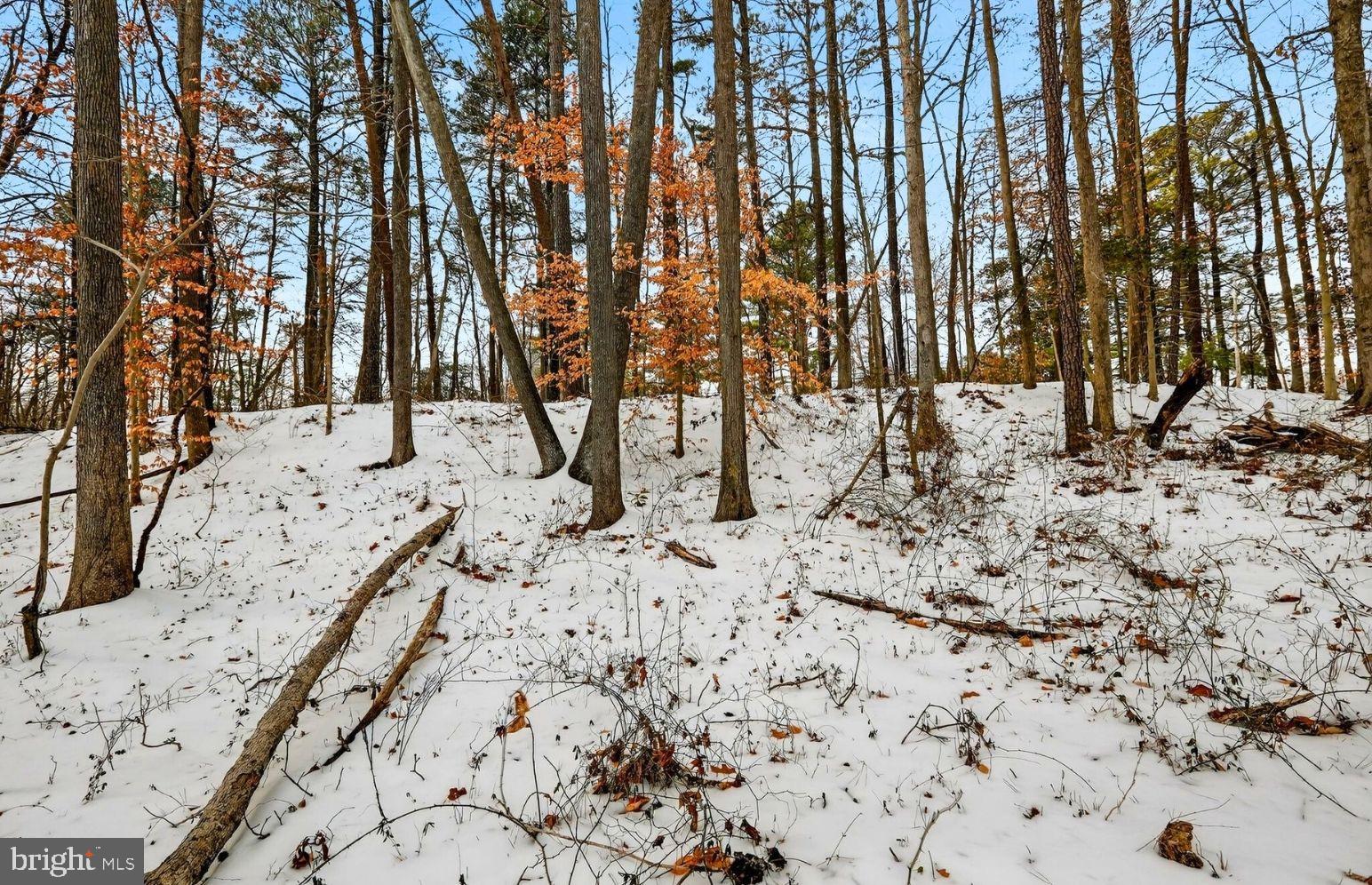 NONE AVAILABLE - Land