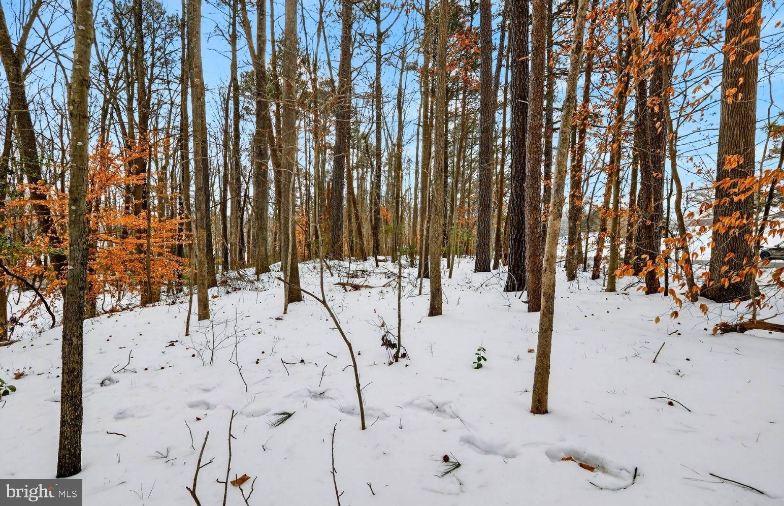 NONE AVAILABLE - Land