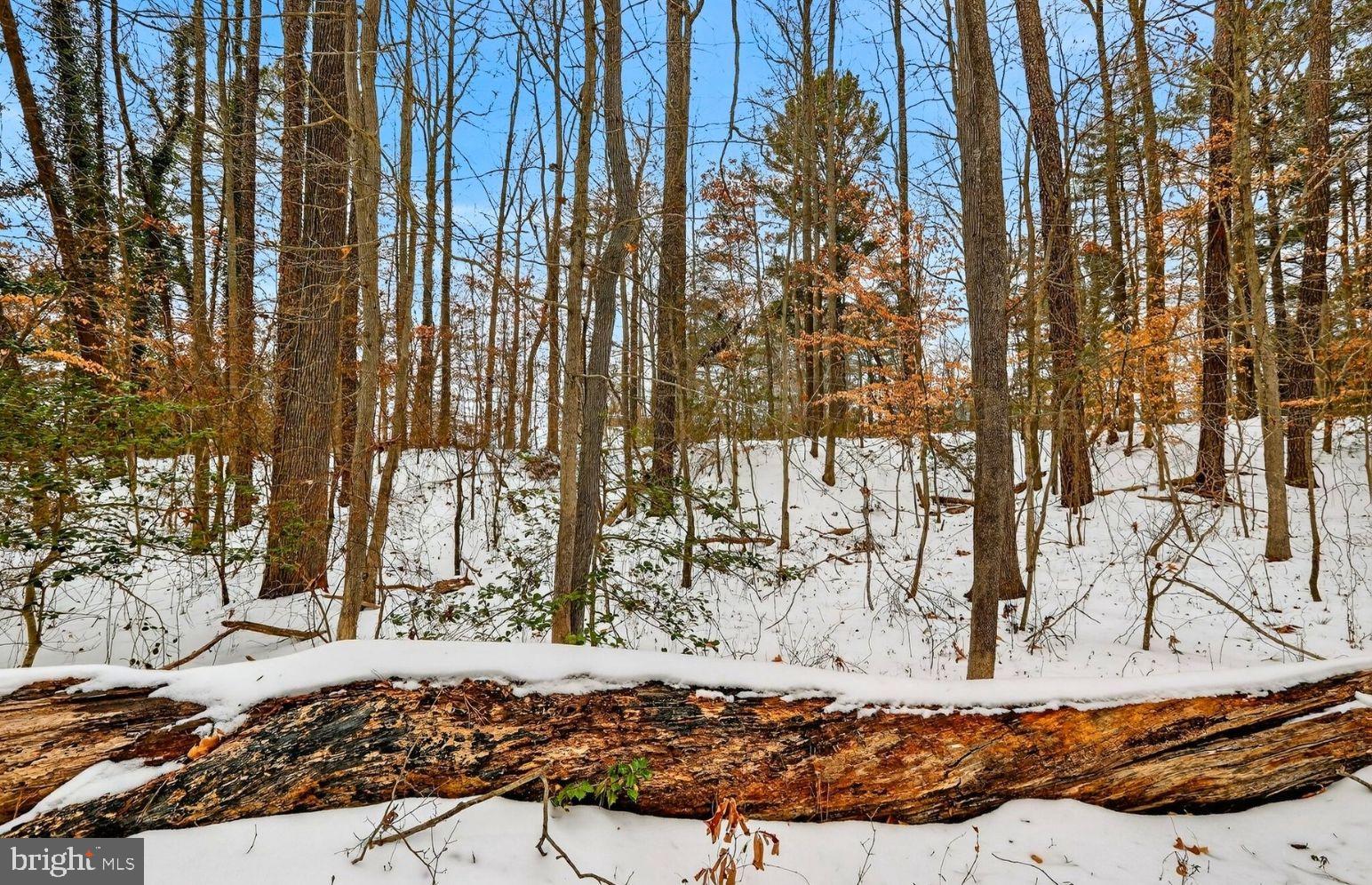 NONE AVAILABLE - Land