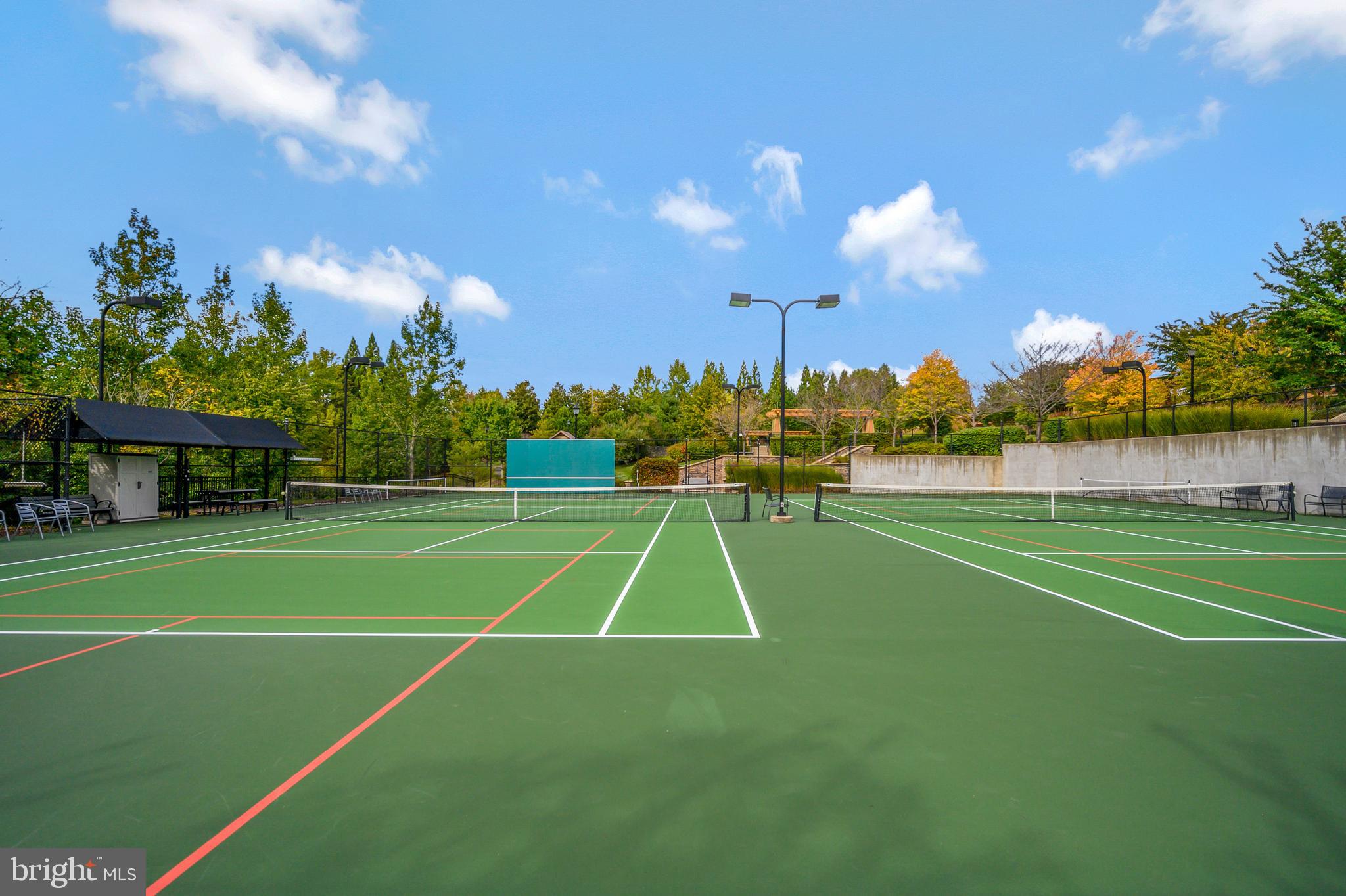 CELEBRATE VIRGINIA NORTH - Residential