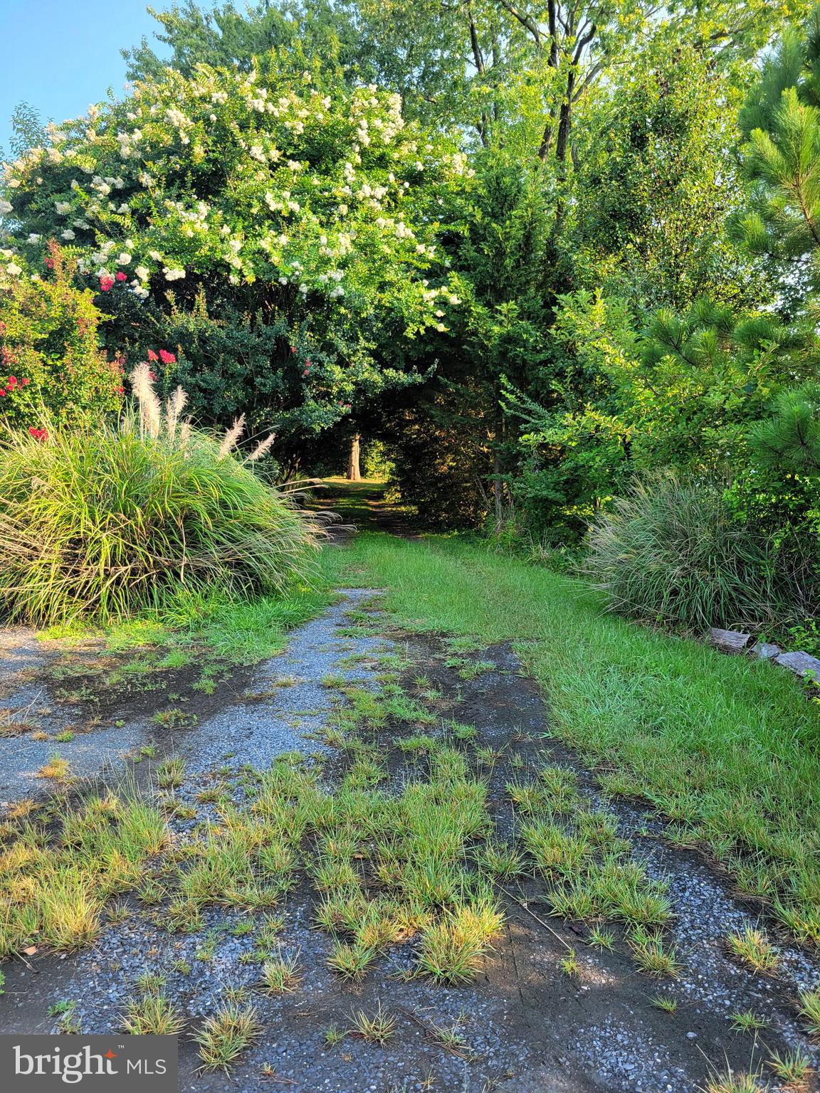 8000 BOZMAN NEAVITT ROAD