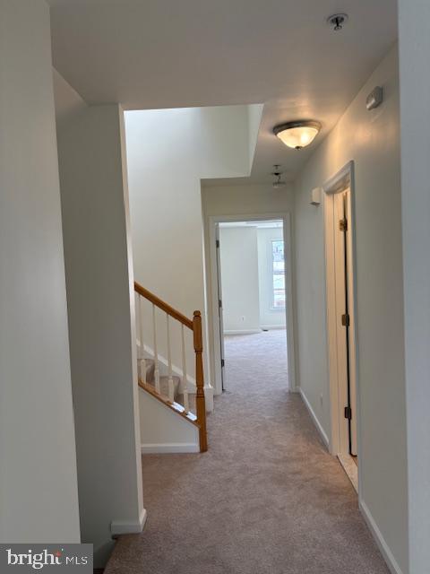 LOCUST POINT - Residential Lease