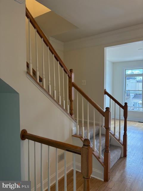 LOCUST POINT - Residential Lease