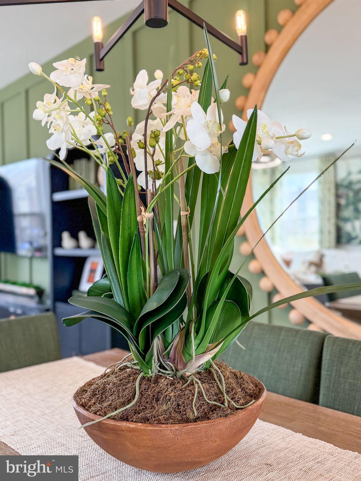 INNOVATION TOWN CENTER - Residential