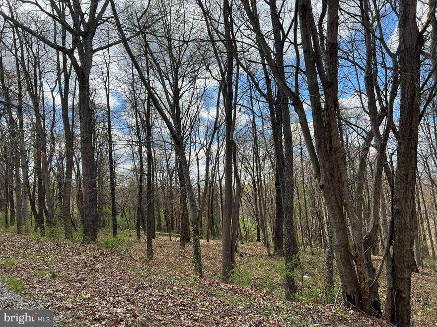 Beautiful wooded lot in Plantation Estates in Fawn Grove. There is a well on site. Property approved for standard trench septic system.