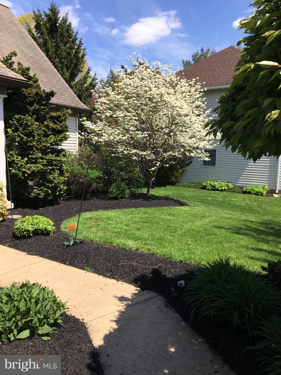 WALFIELD - Residential