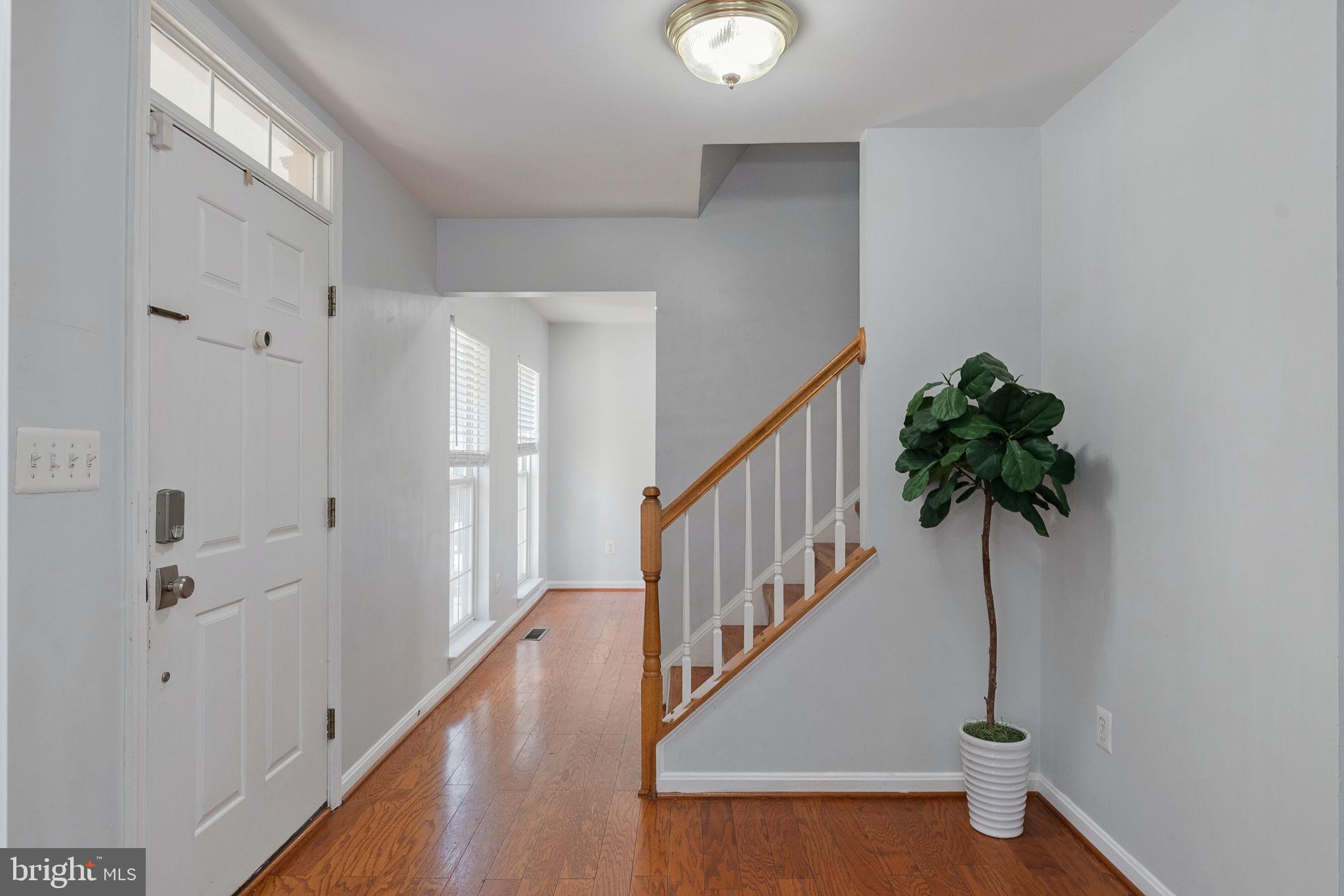 3238 MOUNTAIN LAUREL LOOP