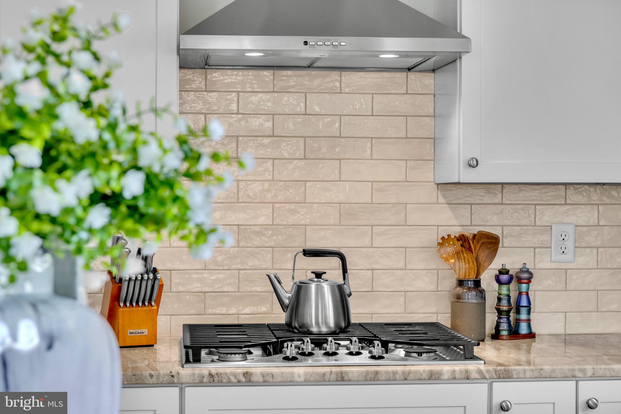 WILLOW BRANCH EAST - Residential