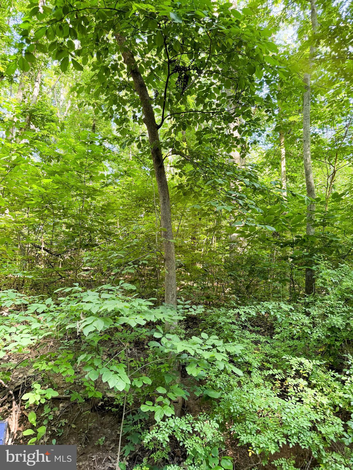 0 LOT 413 EASY HOLLOW ROAD LOT 413