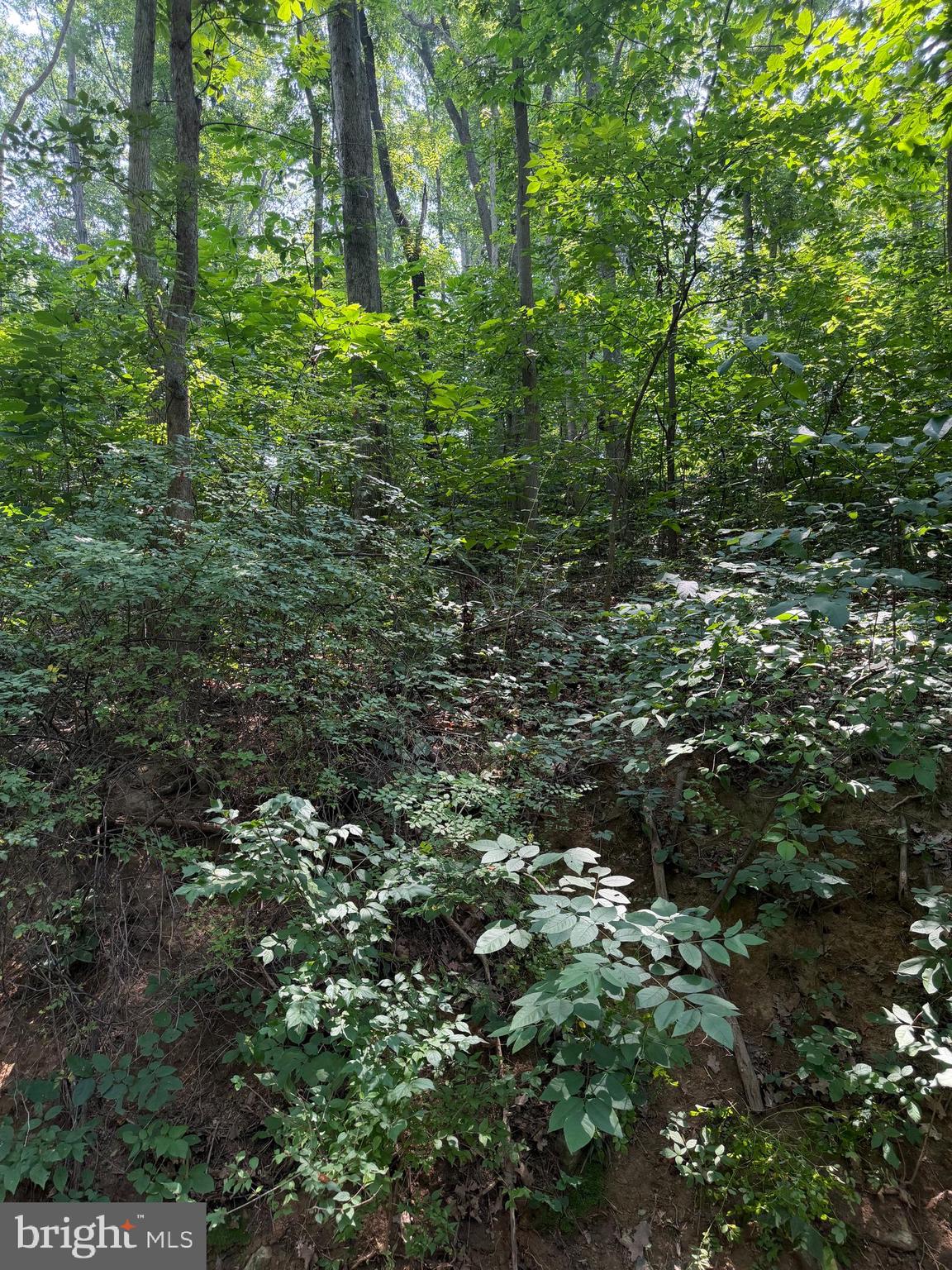 0 LOT 413 EASY HOLLOW ROAD LOT 413