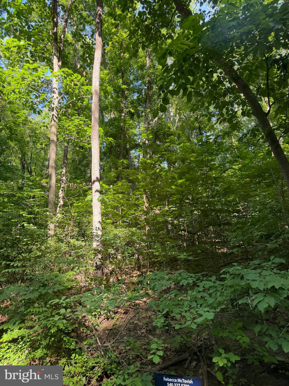 0 LOT 413 EASY HOLLOW ROAD LOT 413