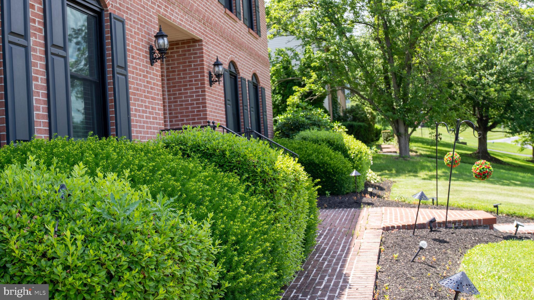 FLORIBUNDA - Residential