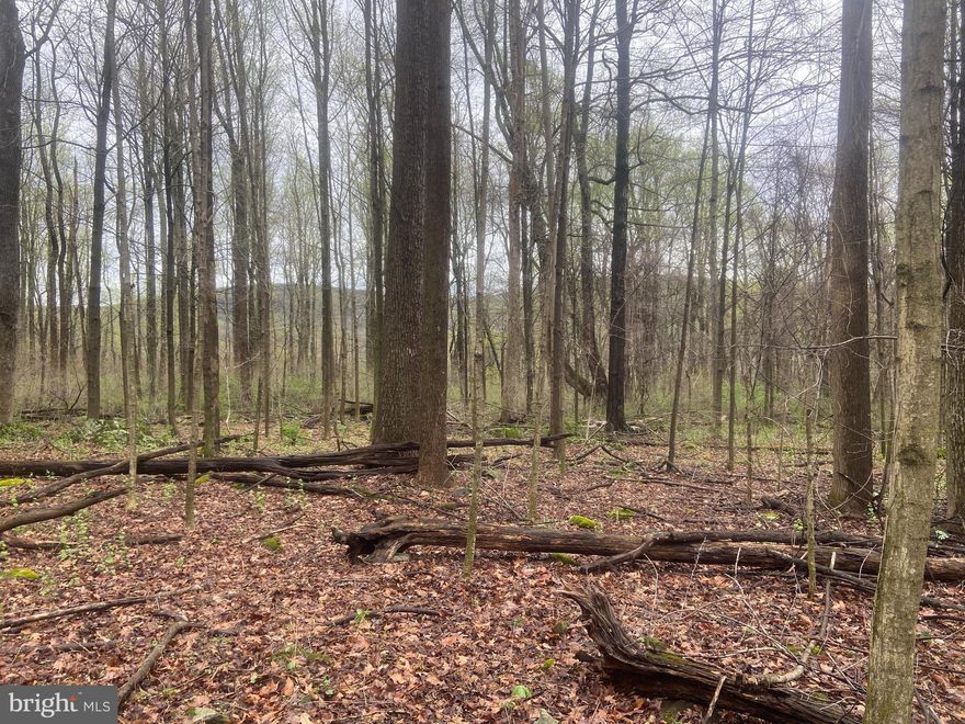 BEST AND FINAL OFFERS will be due on Sunday, April 28th at noon. 

Welcome to your secluded slice of mountain paradise. Nestled along a quiet road this vacant land offers a rare opportunity to own a piece of nature's beauty just 30 minutes from the vibrant town of Frederick. The timber was select cut over 40 years ago resulting in a picturesque landscape characterized by mature trees and lush vegetation, perfectly suited for those seeking a serene retreat. This property has been sparsely hunted and for those who enjoy angling, it is just a short distance to Middle Creek and Spruce Run, providing ample opportunities for outdoor enthusiasts. Dreaming of building your perfect home? Look no further! Strategically located this idyllic haven offers easy access to the bustling town of Frederick, ensuring convenience without compromising on privacy. With its pristine surroundings, this land presents an ideal canvas for realizing your architectural vision. Don't miss your chance to own a piece of mountain paradise within reach of urban amenities.