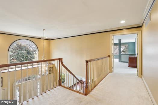 THORNCROFT WOODS - Residential