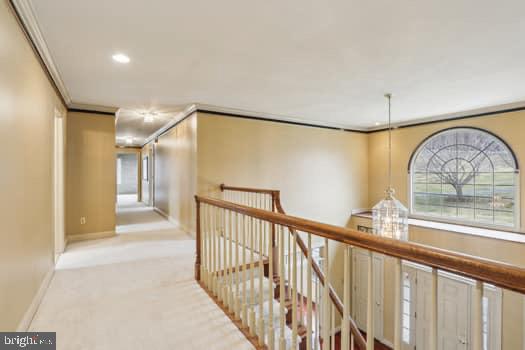 THORNCROFT WOODS - Residential